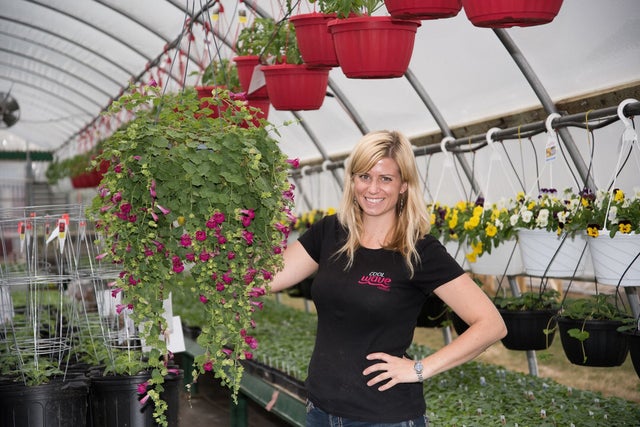 Trailing Vines | Debs Greenhouse Garden Centre