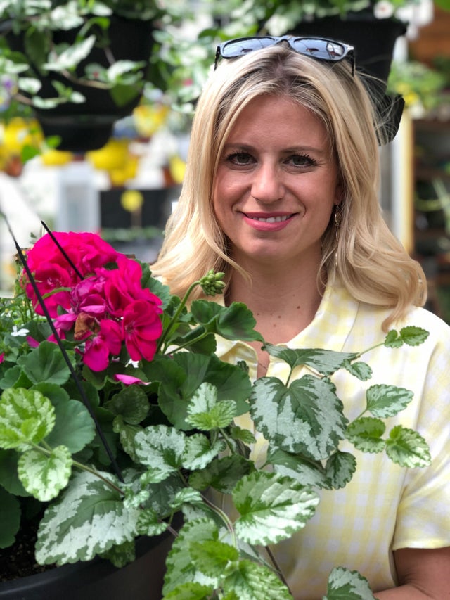 Trailing Vines | Debs Greenhouse Garden Centre
