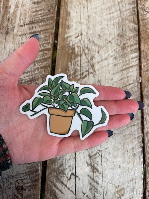 Stickers | Debs Greenhouse Garden Centre