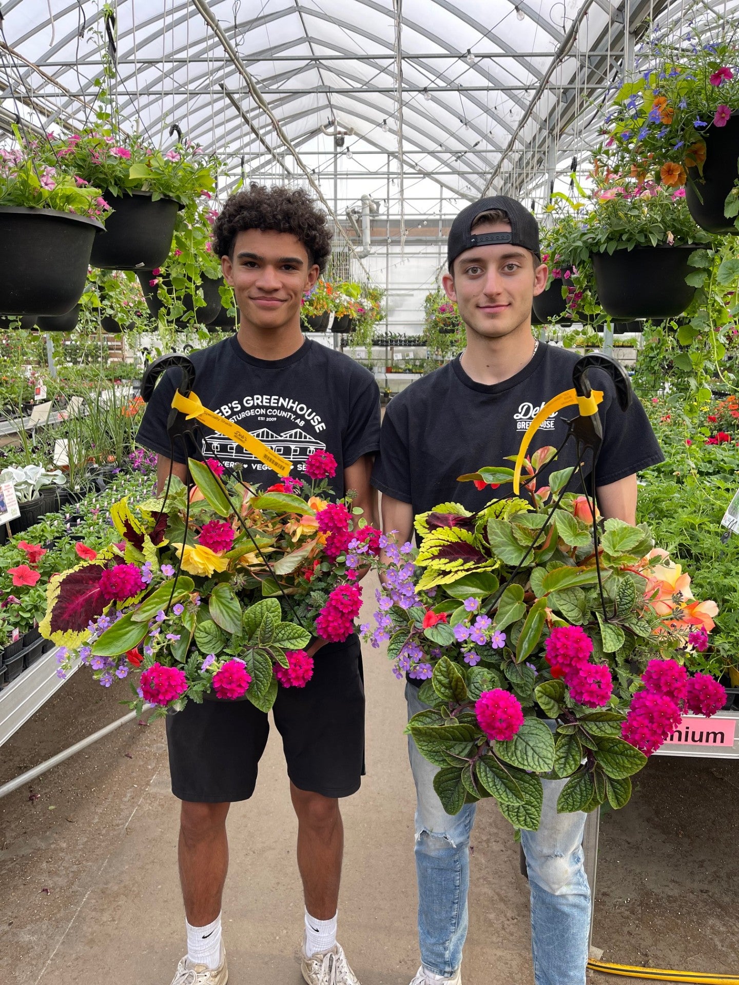 Specialty Shade - Replant Hanging Basket | Debs Greenhouse Garden
