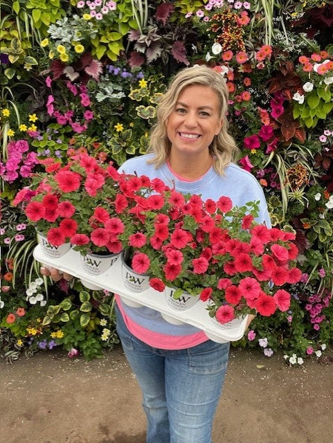 ♡ Petunia Petunia Supertunias by Proven Winners 2025 | Debs Greenhouse