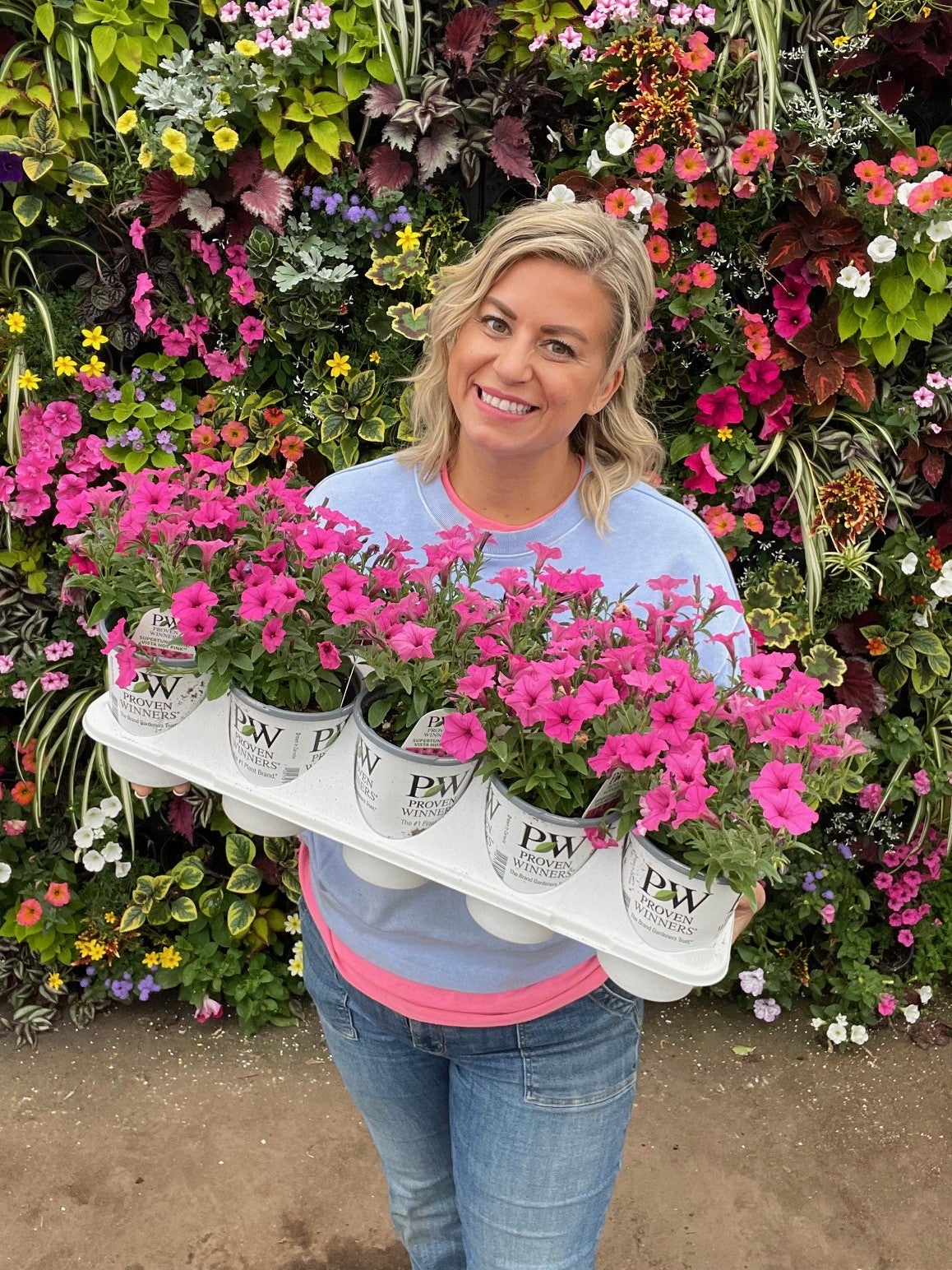 Supertunia Mini Vista® Hot Pink Petunia Tray of 10 | Debs
