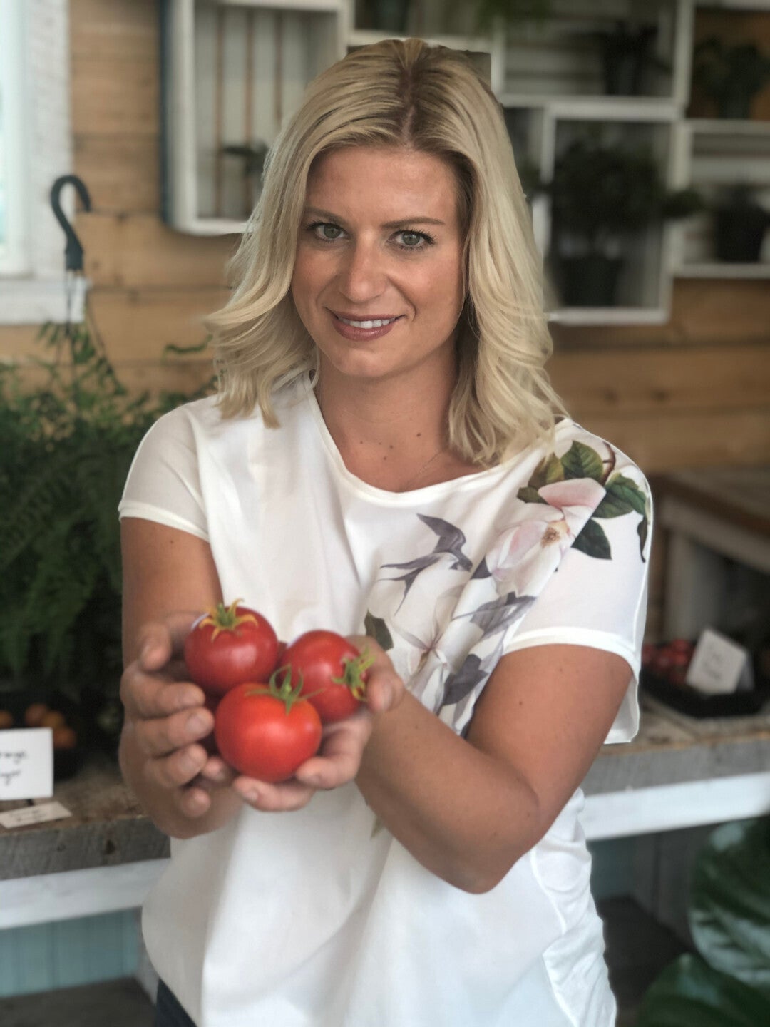 Tomato manitoba 3 gallon pot with cage debs greenhouse garden centre